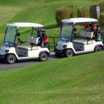 Lvtong 48V 2-Seater Electric Golf Cart Utility Vehicle