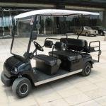 LVTONG 48V 6-Passenger Electric Low-Speed Utility Cart