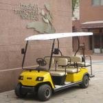 LVTONG 48V 6-Passenger Electric Low-Speed Utility Cart