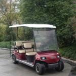 LVTONG 48V 6-Passenger Electric Low-Speed Utility Cart