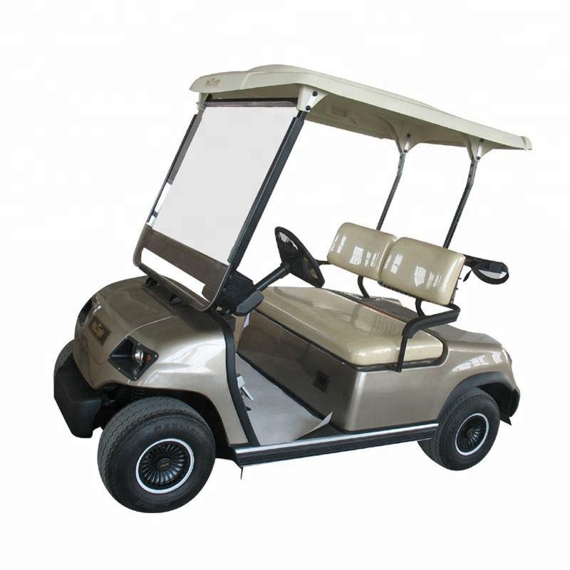 Lvtong 48V 2-Seater Electric Golf Cart