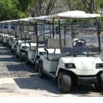 Lvtong 48V 2-Seater Electric Golf Cart