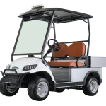 Electric 2-Seat Commercial Utility Cart with Cargo Box