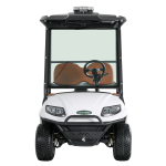 Electric 2-Seat Commercial Utility Cart with Cargo Box