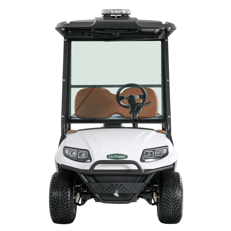 Electric 2-Seat Commercial Utility Cart with Cargo Box