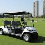 48V 4KW 4WD Electric Multi-Passenger Utility Buggy