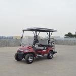 48V 4KW 4WD Electric Multi-Passenger Utility Buggy