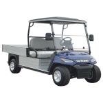 48V 4KW 4WD Electric Multi-Passenger Utility Buggy