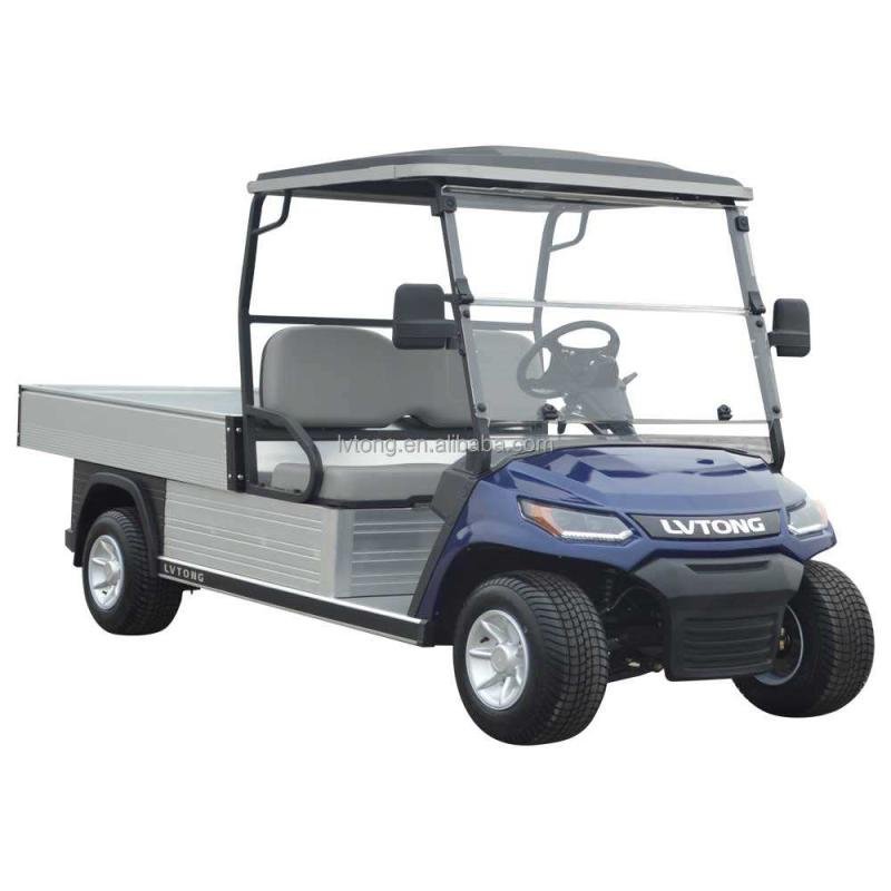 48V 4KW 4WD Electric Multi-Passenger Utility Buggy