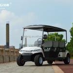 48V 4KW 4WD Electric Multi-Passenger Utility Buggy