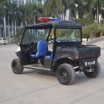 Lvtong 48V 4KW 4WD Electric UTV