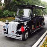 Lvtong 48V 3.7KW Electric 8-Passenger Golf Buggy