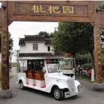 Lvtong 48V 3.7KW Electric 8-Passenger Golf Buggy