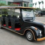 LVTONG 72V 6.3kW Electric Utility Vehicle with Japanese Controller