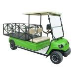 Lvtong LT-A2.H8 Electric 2-Passenger Low-Speed Farm Utility Vehicle