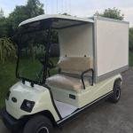 LvTong LT-A2.GC 2-Seater Electric Mobile Food Cart