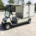 LvTong LT-A2.GC 2-Seater Electric Mobile Food Cart
