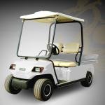 Lvtong LT-A2.H2 48V 3.7KW Electric 2-Seater Food Transport Cart