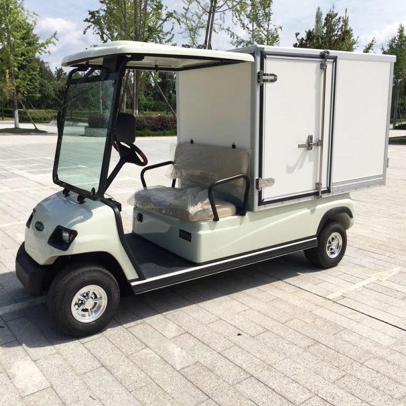 LVTONG 48V 2-Seater Electric Utility Cart Low-Speed Personnel Carrier