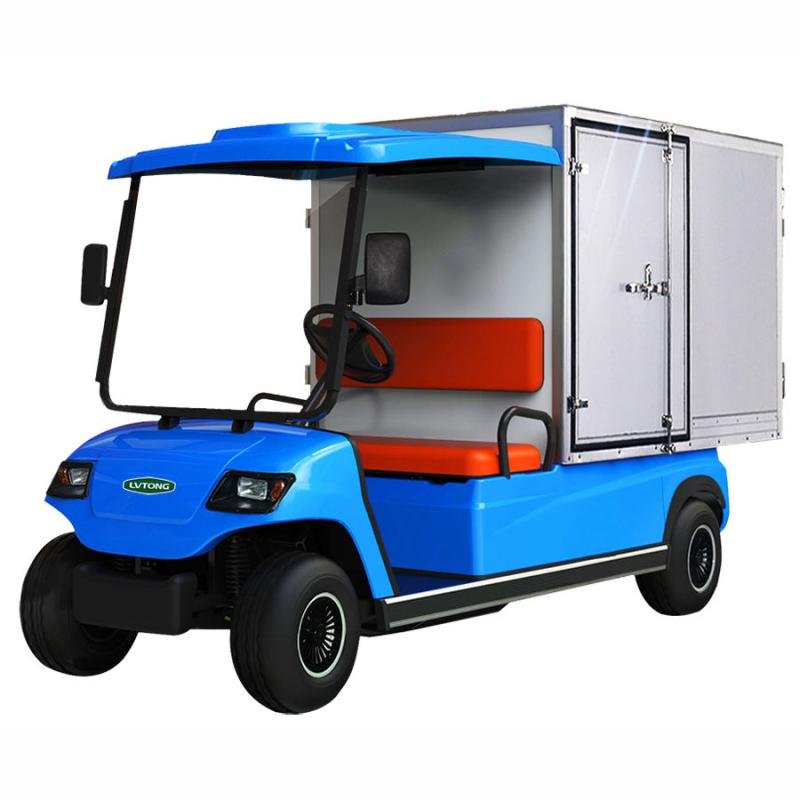 LVTONG 48V 2-Seater Electric Utility Cart Low-Speed Personnel Carrier