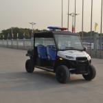 Lvtong LT604C 48V 4KW 4WD Electric Farm UTV